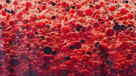 macro-shot-of-red-and-dark-bubbles-slowly-falling-to-ground-in-water