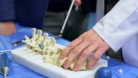 little pieces of plastic spine dummy are cut by the medical tool. educator demonstrates application of tools for students. neurosurgery training.