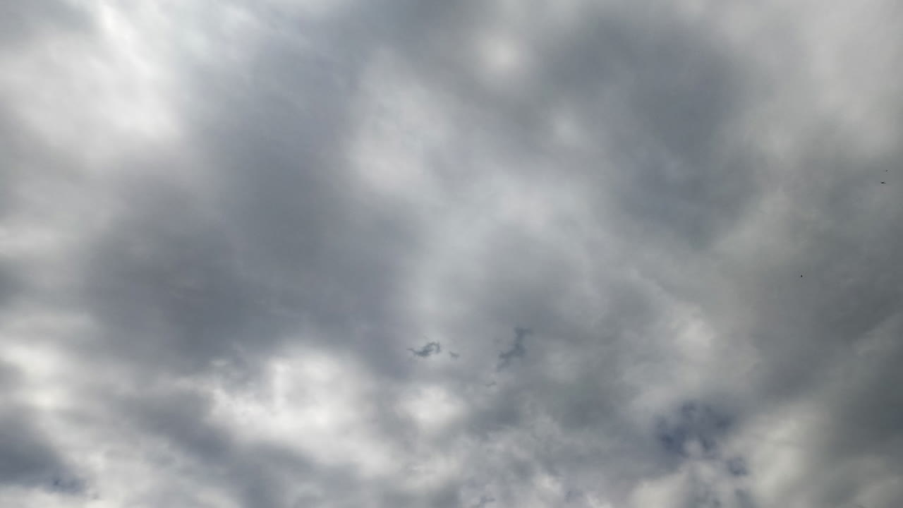 Clouds accumulate in the atmosphere before the precipitation. Low angle view on the stratus cloudscape covering the sky. Timelapse.