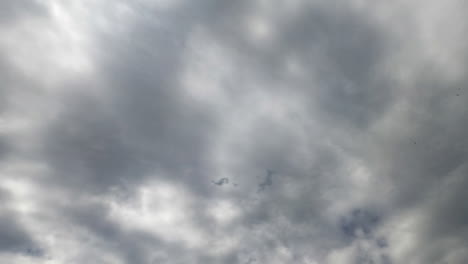 clouds accumulate in the atmosphere before the precipitation. low angle view on the stratus cloudscape covering the sky. timelapse.