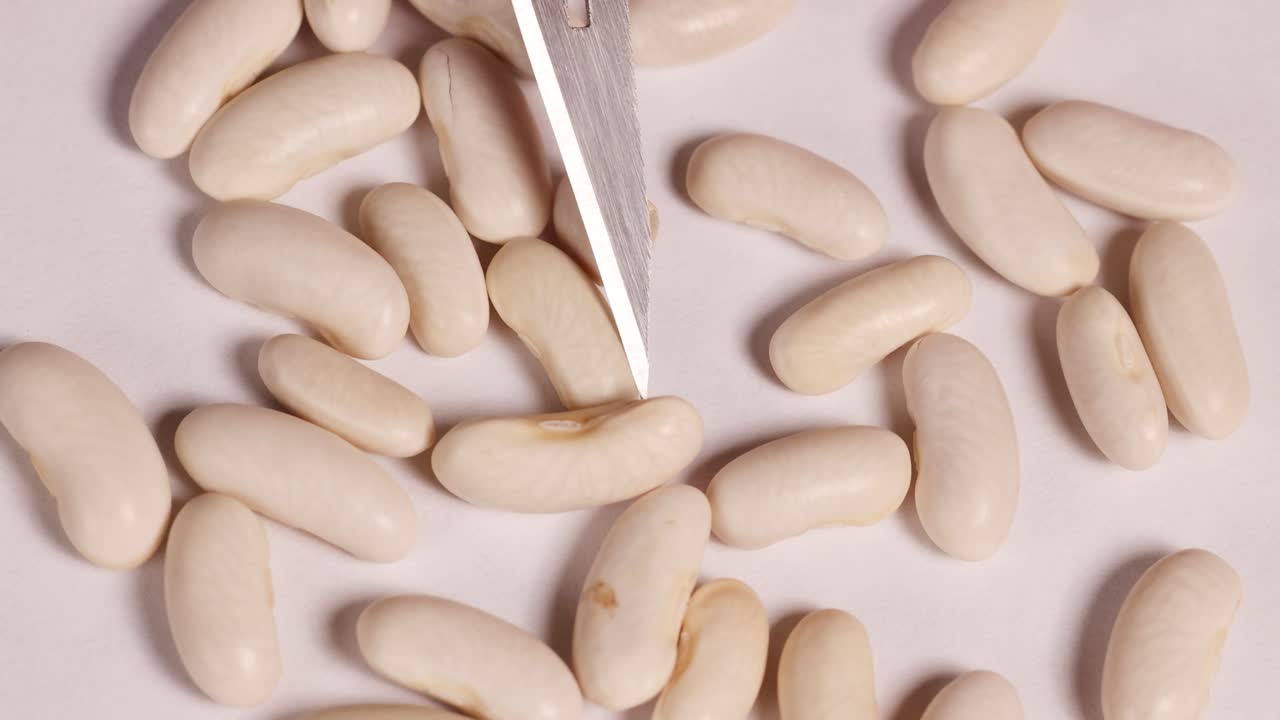 Close-up examination of white bean seeds with a scalpel on a neutral background, highlighting texture and precision