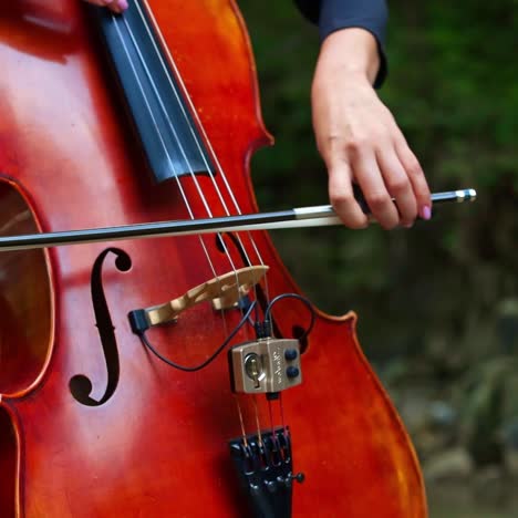 performance music on nature