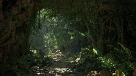 sunbeams filtering through the dense foliage of a lush, overgrown jungle path