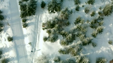 Vogelperspektive-Auf-Menschen,-Die-Im-Winter-Auf-Einem-Schneebedeckten-Wanderweg-Spazieren,-Schwarzwald,-Deutschland