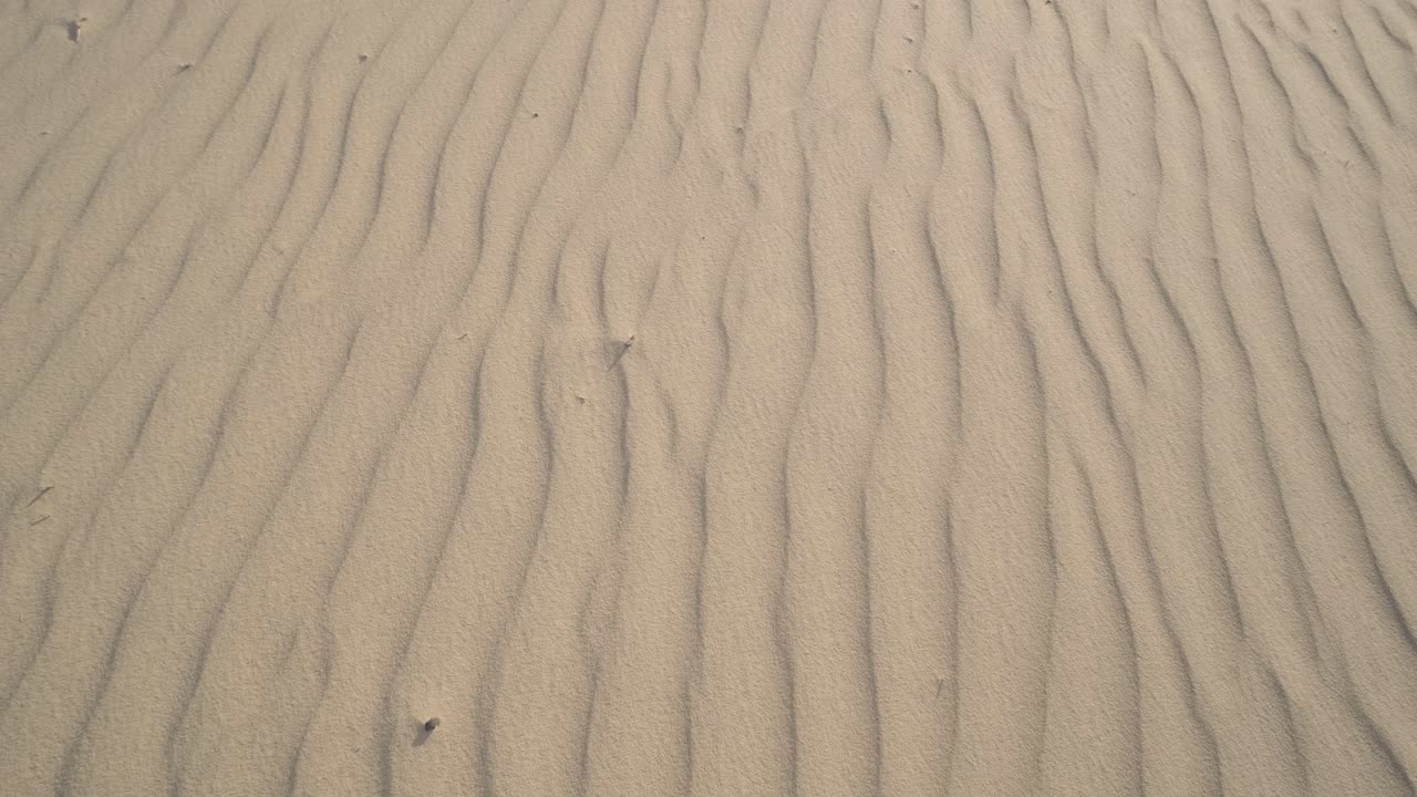 사막, 모래 언덕, 사막 자연의 표면의 질감