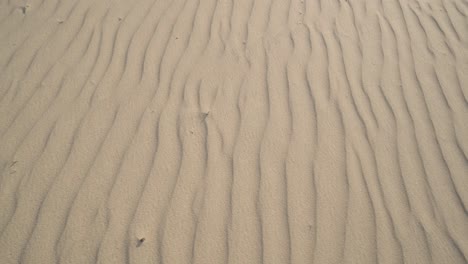 aerial view of a desert, sand dunes. texture of the surface of desert nature