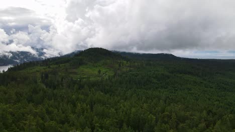 panoramic view over the lush green forests and mountains along the sunshine coast trail in british columbia, canada