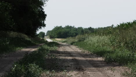 Ländlich,-Schotter,-Landstraße,-Bauernhof,-Landwirtschaft,-Ackerland,-Kleinstadt,-Autofahrt,-Pferd,-Kühe,-Sommer