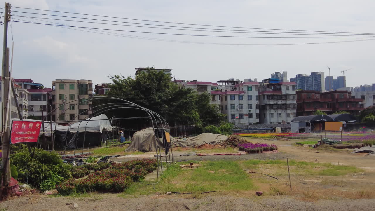 도시 꽃 시장과 온실