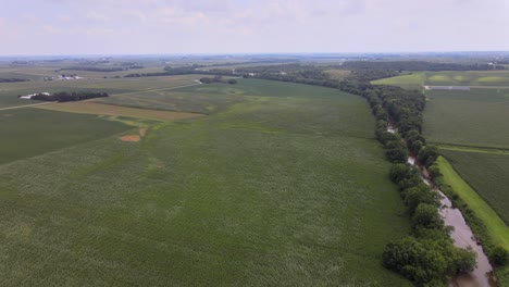 Drohnenvideo-Aus-Der-Luft-Von-Reichen,-Grünen,-Ländlichen,-Landwirtschaftlichen-Ackerland,-Mais-Und-Bohnen-Im-Mittleren-Westen-Von-Iowa