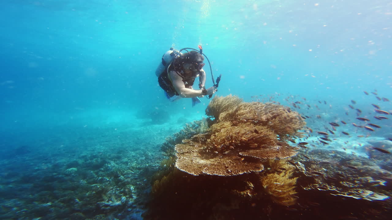 tratando de obtener una mirada más cercana