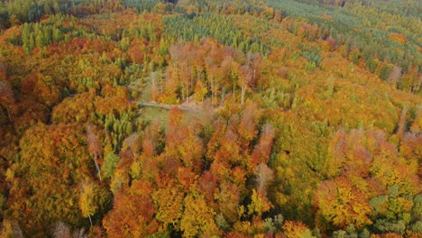 Volando-Hacia-Un-Bosque-Otoñal-Mixto-Con-Una-Carretera-Durante-Un-Día-Soleado