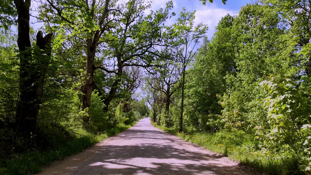 Remote Rural Road Through Dense Trees Near Skujene Village In Latvia