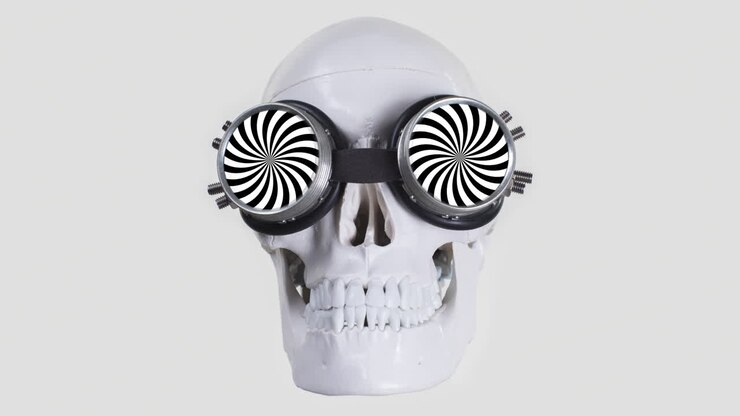Human skull with sunglasses