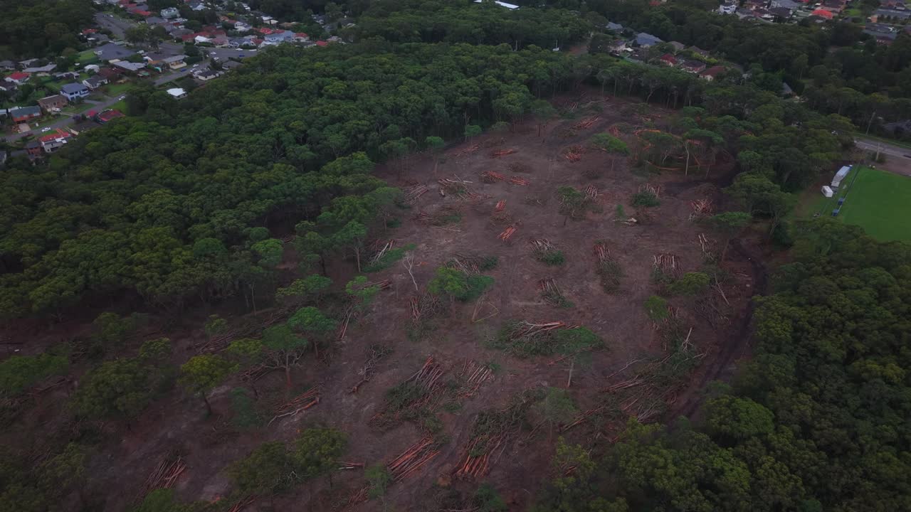 Aerial establishing of eucalyptus deforestation in New South Wales, dry land and stumps visible