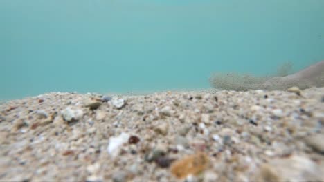 ground-level, underwater view of feet walking through the sand, extreme slow motion