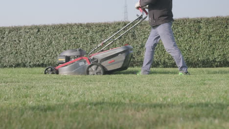 male gardener cutting grass with lawn mower during a sunny day - medium static shot in slow motion