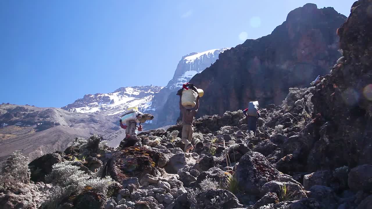 excursionistas porteadores y excursionistas caminan por el sendero hasta la cumbre del monte kilimanjaro tanzania áfrica