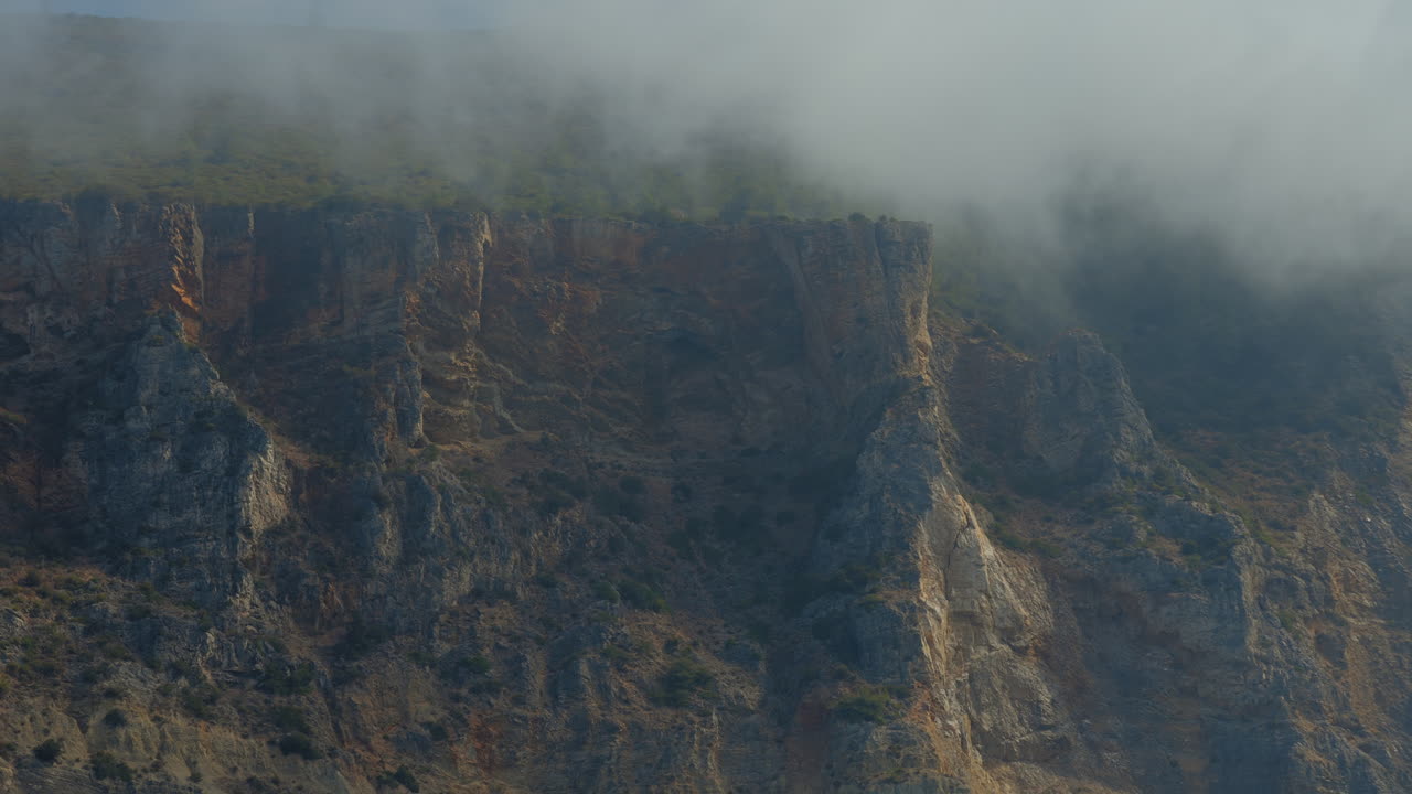 숲과 바위로 덮인 산이 있는 바다 풍경