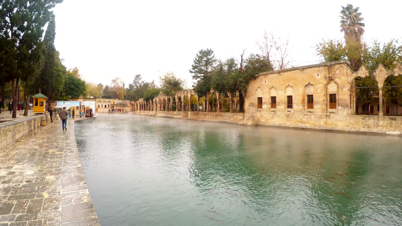los turistas dan comida a las carpas sagradas balikligol sanliurfa