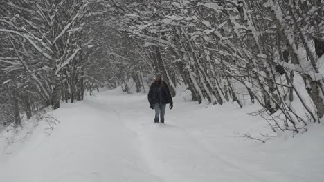 man in warm wear walking on snowy footpath forest