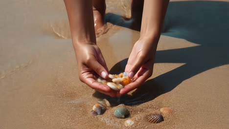 collecting seashells on the beach