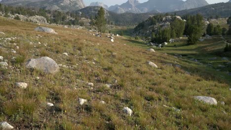 tilt up to panoramic view of the mountain range in wind river wilderness, featuring clear skies and rugged terrain