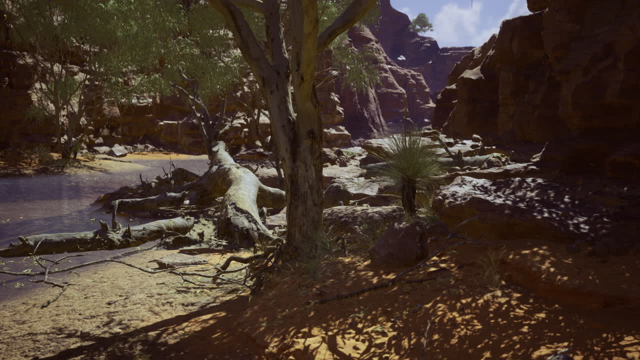 A tranquil desert landscape showcases a rocky riverbed with a large fallen tree