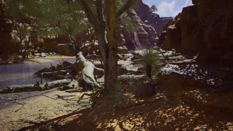 a tranquil desert landscape showcases a rocky riverbed with a large fallen tree