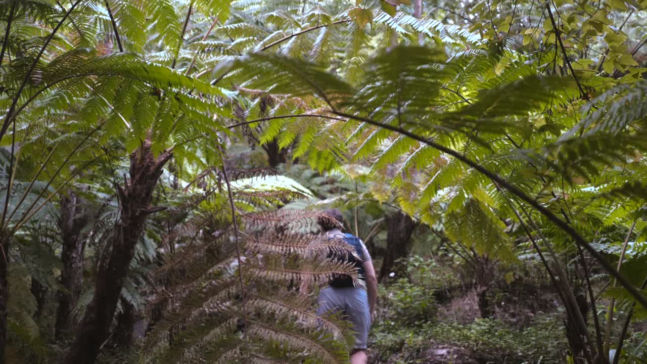 blogger de viajes o influencer caminando por el bosque. joven con una mochila caminando por un sendero forestal con exuberante vegetación tropical. concepto de ecoturismo