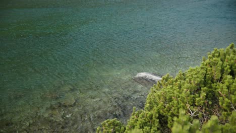 Clear-lake-water-with-windswept-ripples-blow-across-surface-in-Sliezsky-Dom,-High-Tatras-Slovakia