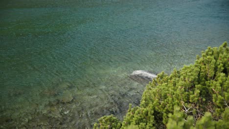 clear lake water with windswept ripples blow across surface in sliezsky dom, high tatras slovakia