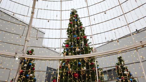 Closeup-Shot-Of-Outdoor-Christmas-Trees-Decorated-With-Ornaments-And-Flashing-Lights