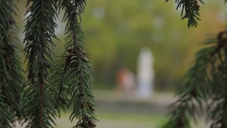 couple in a park near a statue in autumn
