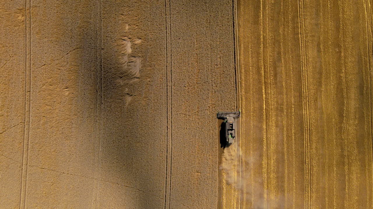 cosechadora trabajando en un campo, vista aérea en picado con mucho polvo alrededor