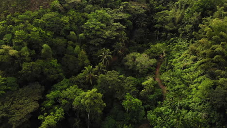la inclinación del paso elevado revela la vista de las colinas de chocolate de bohol, bohol, filipinas