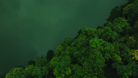 drone shot of begnas lake, pokhara nepal, backward shot, lake top down with huge green dense forest and lake