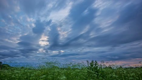 dusk to night timelapse in the meadow with flowers