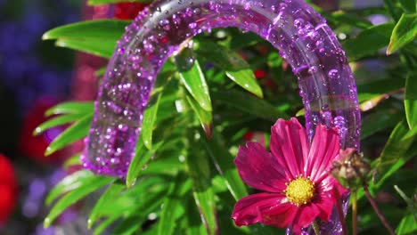 Colourful-unique-walking-mobility-canes-in-garden-setting