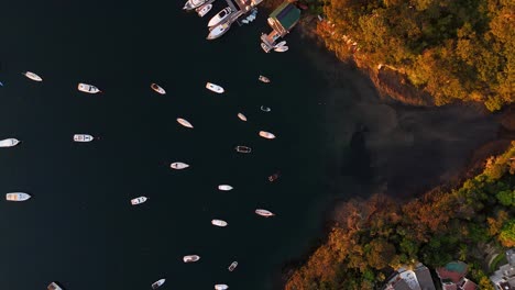 aerial view of a calm bay with boats and houses