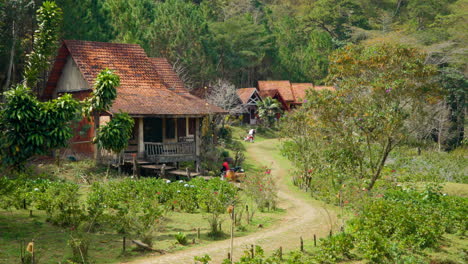 Cu-Lan-Folk-Village-Timbered-Houses-For-Rent-Backed-by-Peaceful-Forest,-Winding-Walkway-Trail