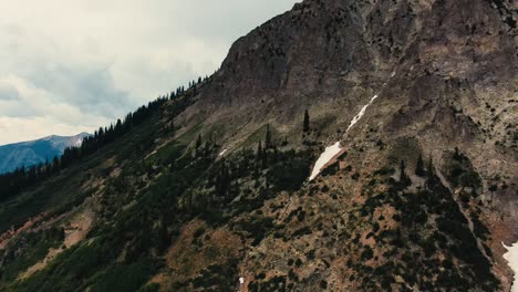 drone aerial view of mountainside trees and foliage in gothic mountain colorado usa