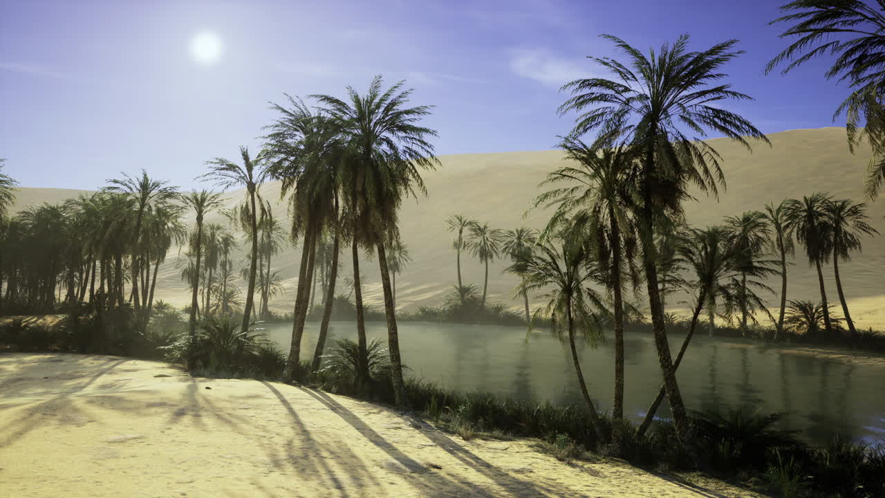 Gruppo di palme luminose vicino a una laguna nel deserto in Arabia Saudita sotto una luce intensa