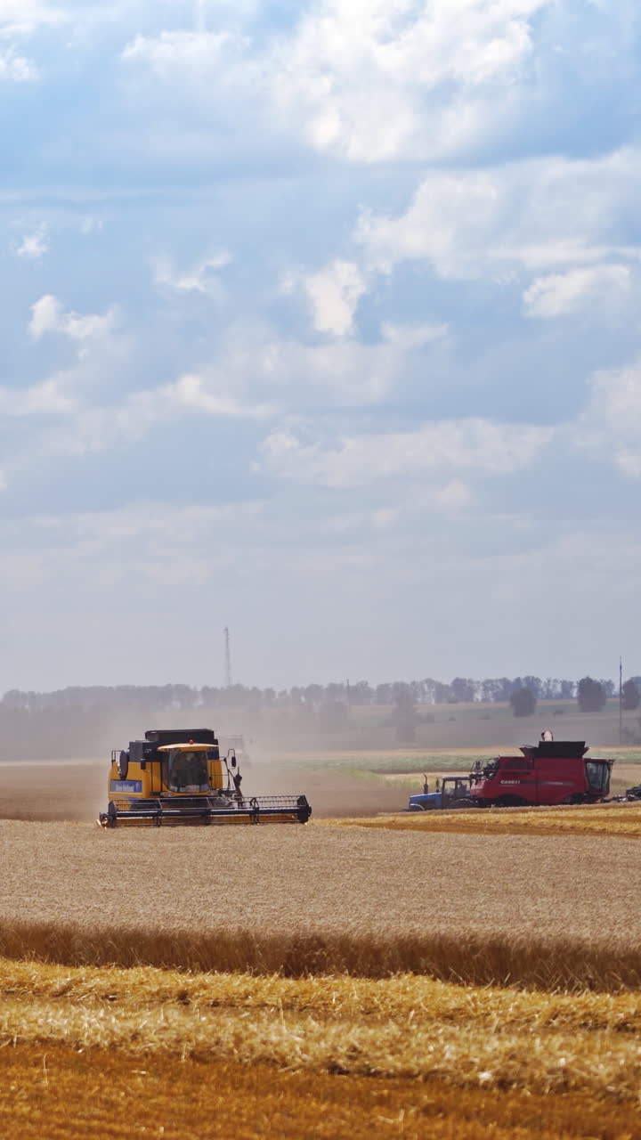 Harvesting machine working in field. Combine harvester working on the large wheat field