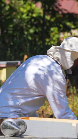 male apiarist on a bee farm. beekeeper in white protective suit working near beehives among nature. wooden hives in nature. vertical video