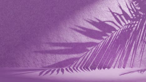 Purple-textured-wall-with-palm-frond-shadow-waving-in-wind-on-back