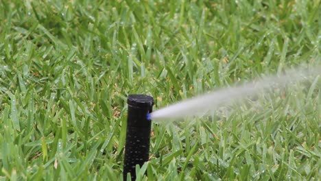 aspersor de césped moviéndose y arrojando agua
