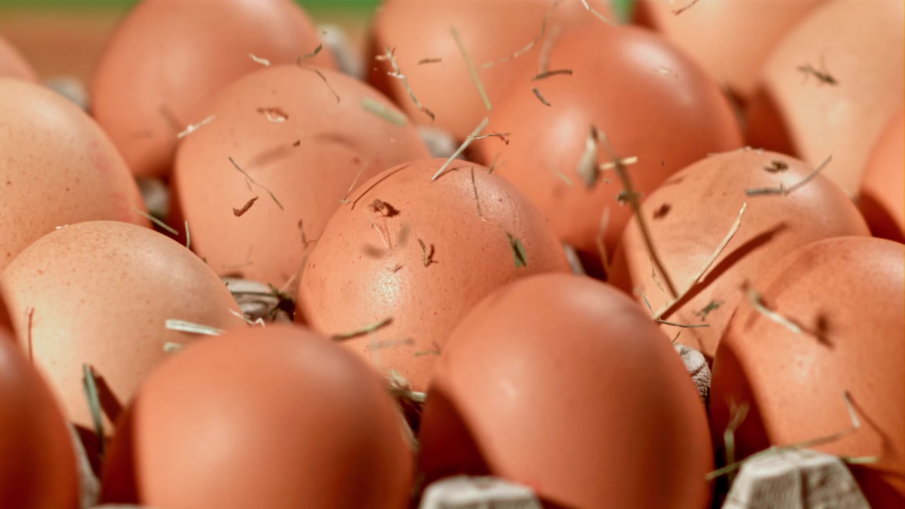 Heu fällt in Zeitlupe auf frische braune Eier