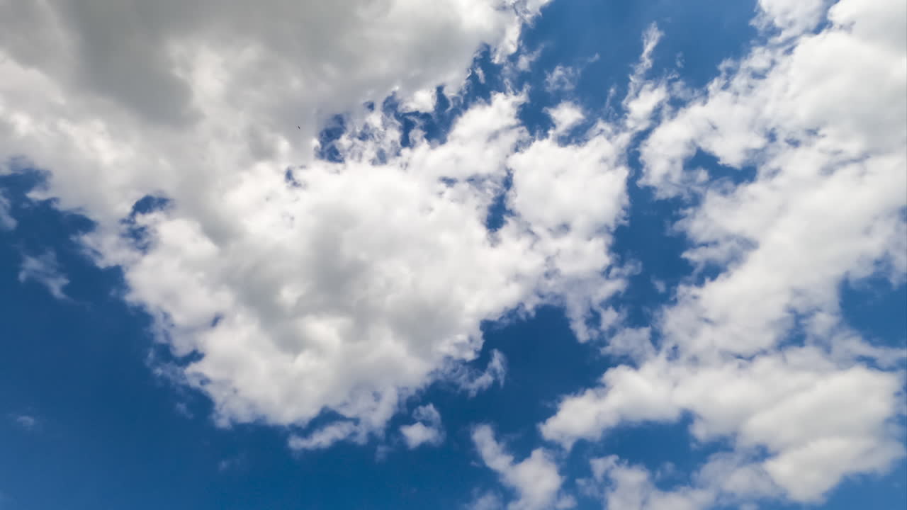 Puffy airy clouds transforming at the wind. Heavenly beautiful blue skies with clouds timelapse.