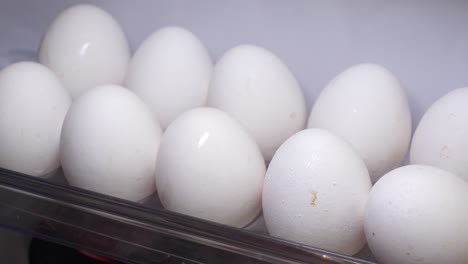 eggs in the refrigerator